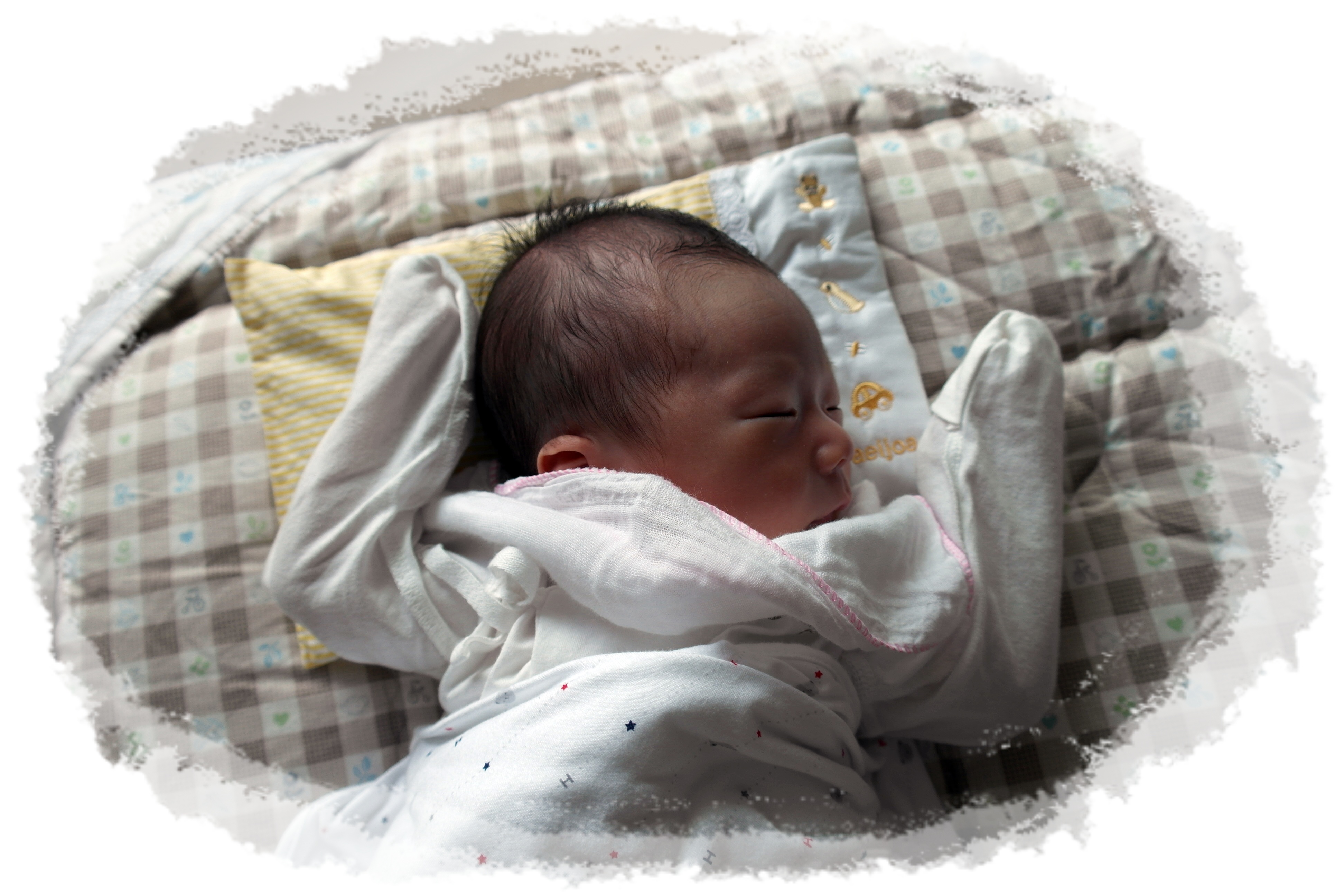 SAM_0855.JPG
