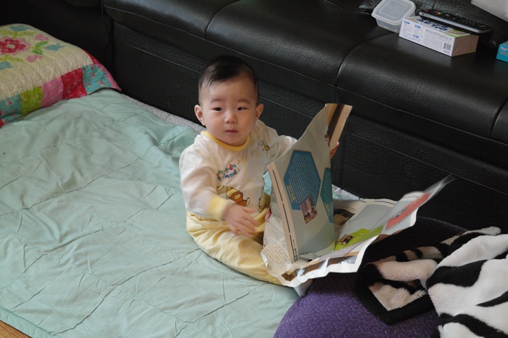 SAM_3686-1.JPG