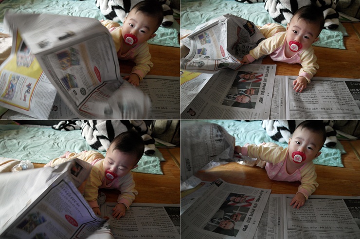 cats.jpg