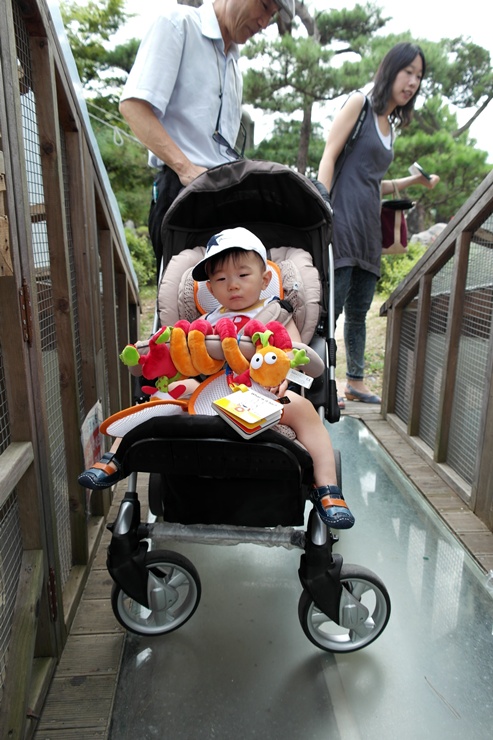 SAM_4235-1.JPG