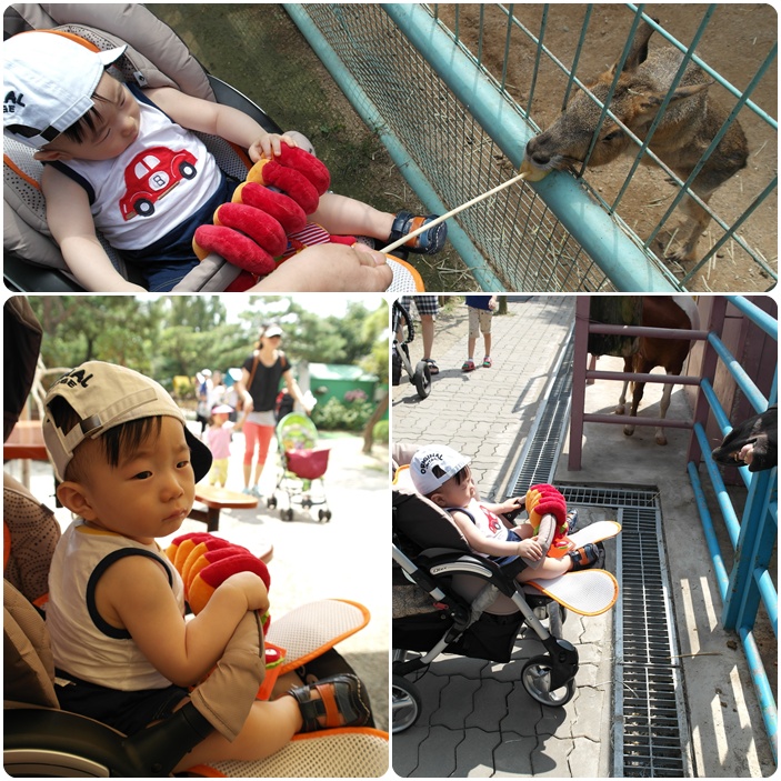 zoo4.jpg