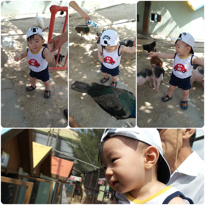zoo3.jpg